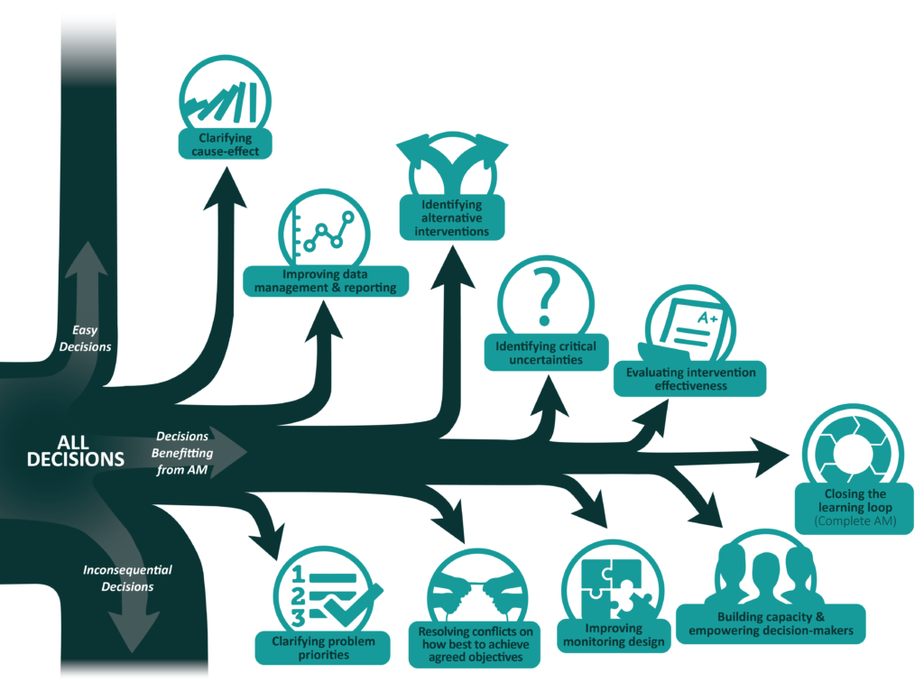 Adaptive Management All Decisions